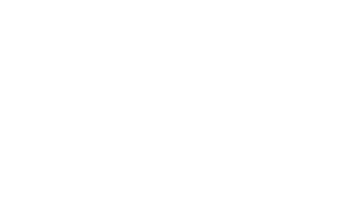 Wiley X